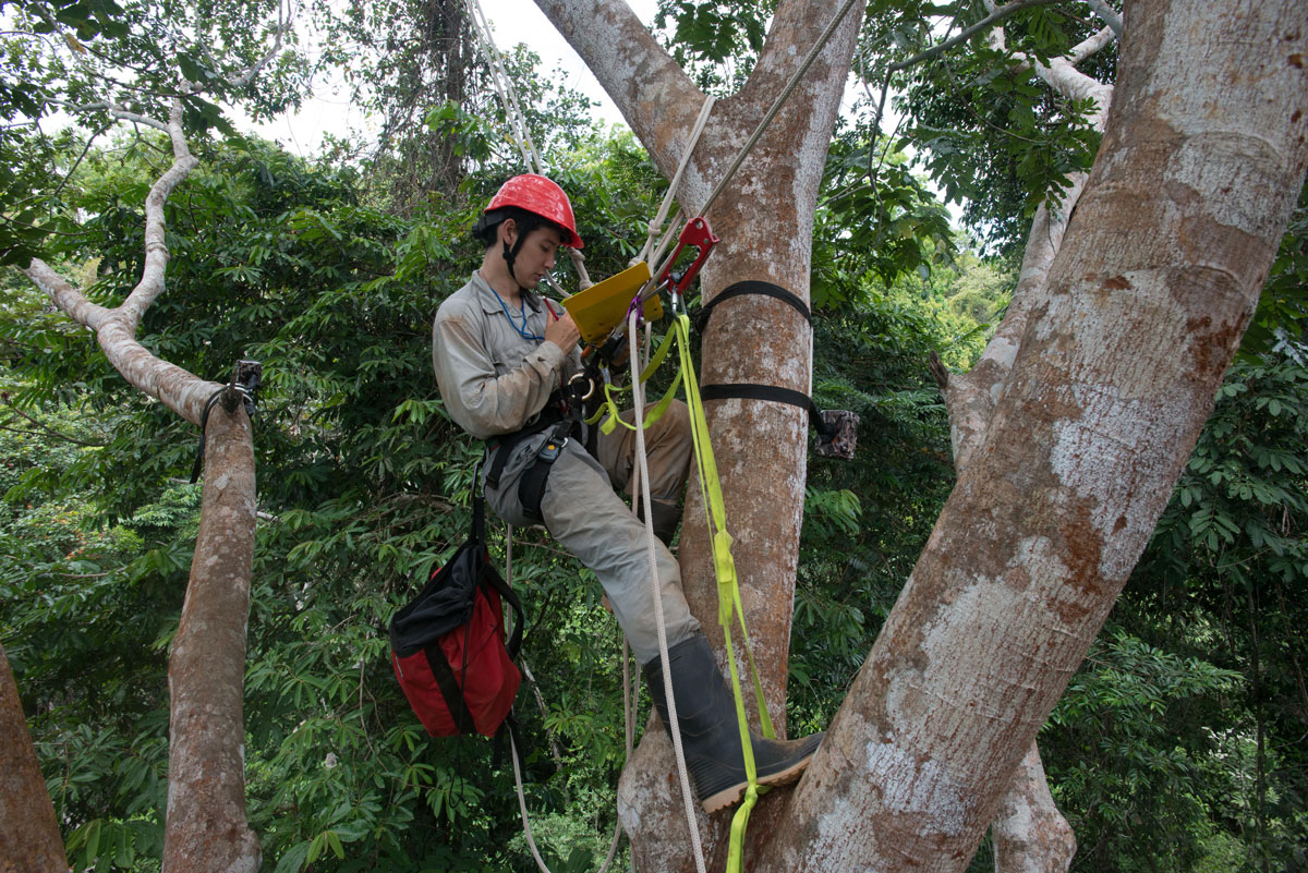 Smithsonian Tropical Research Institute (STRI)