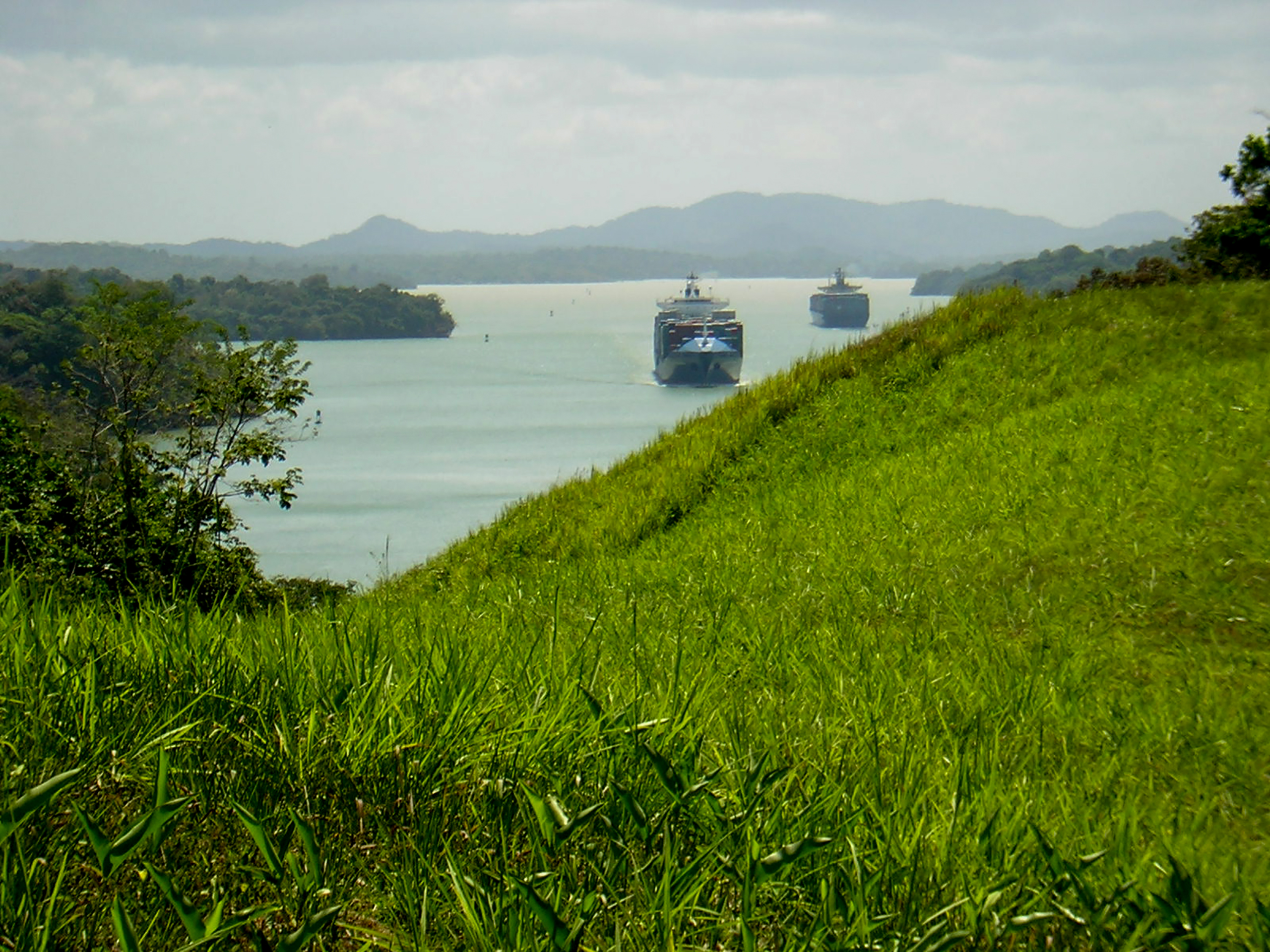 Smithsonian Tropical Research Institute