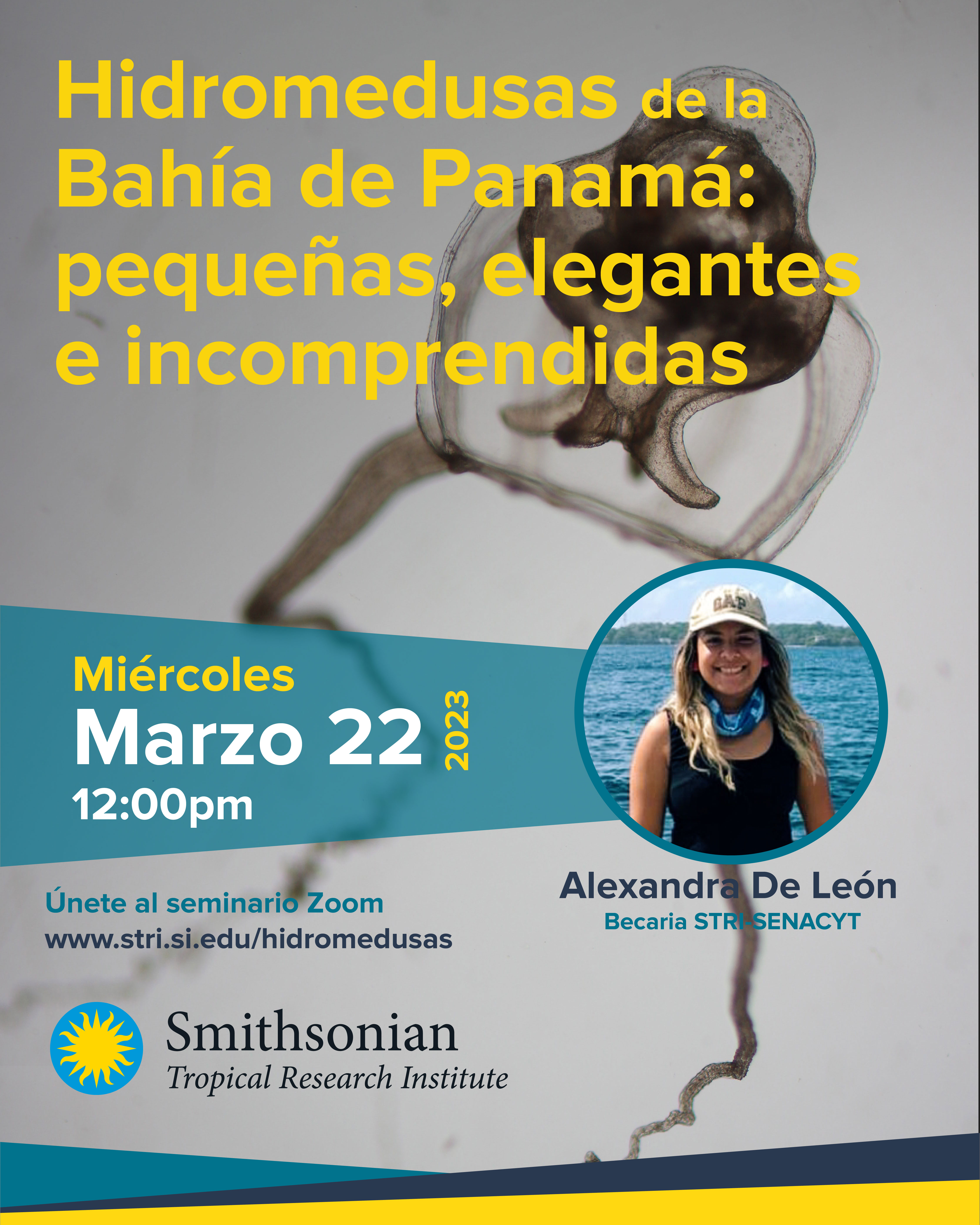 STRI Panama