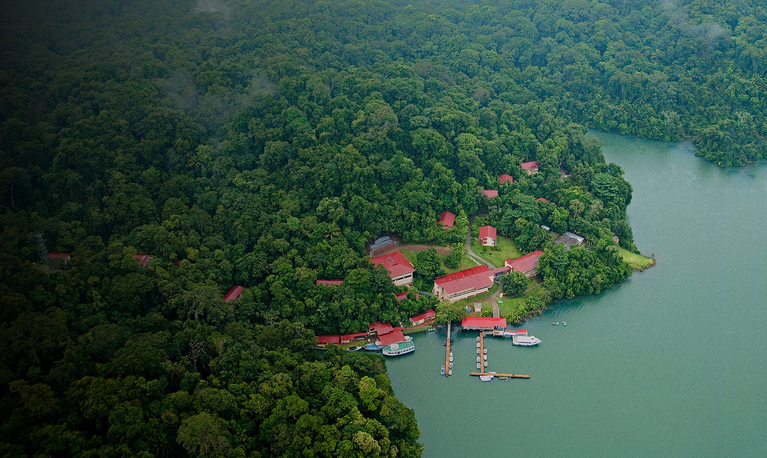 Smithsonian Tropical Research Institute (STRI) Smithsonian Tropical Research Institute (STRI)