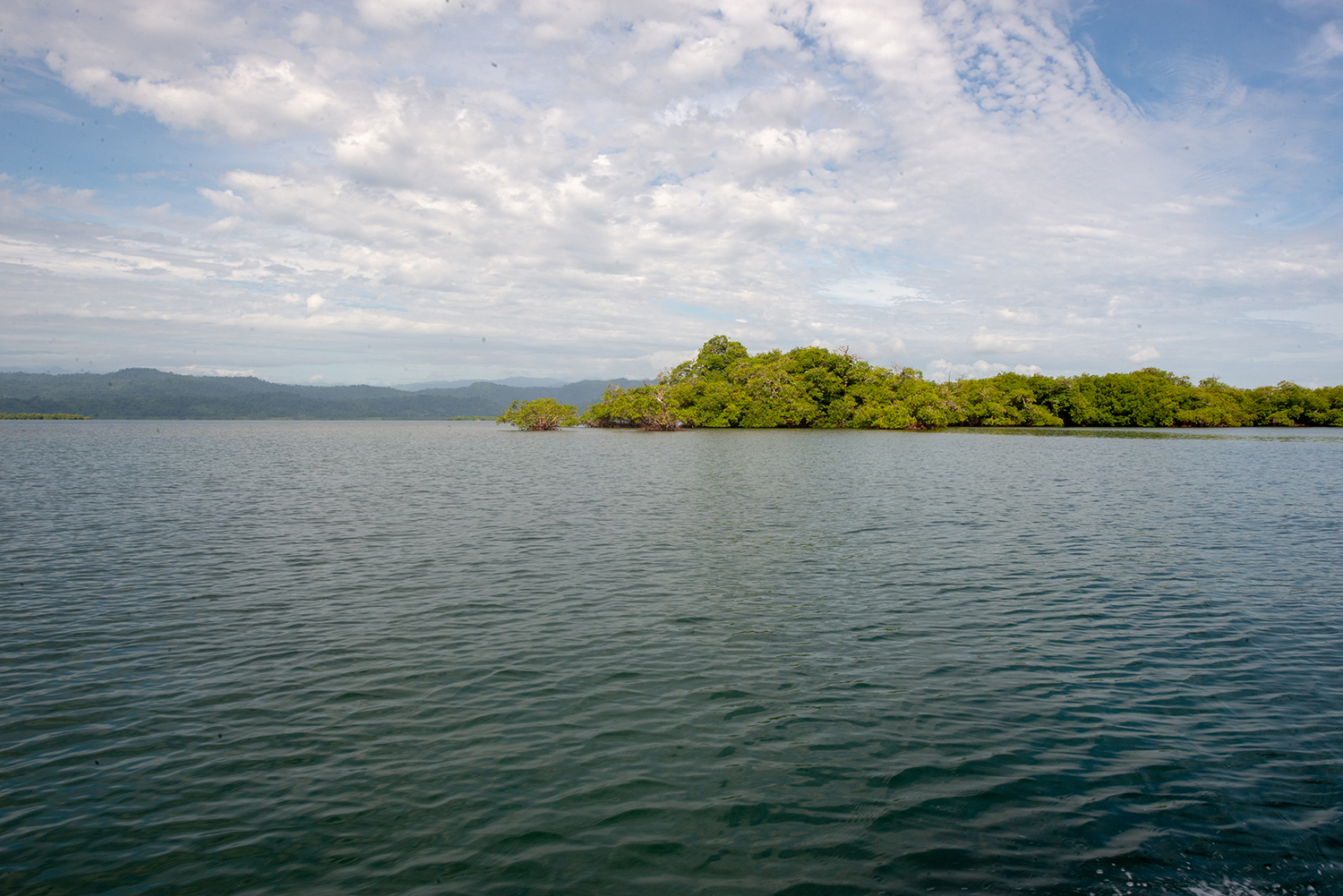 Smithsonian Tropical Research Institute