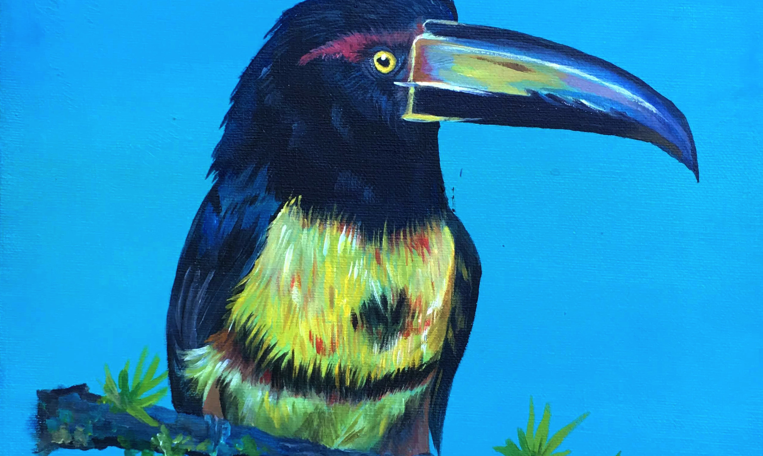 Our colorful world