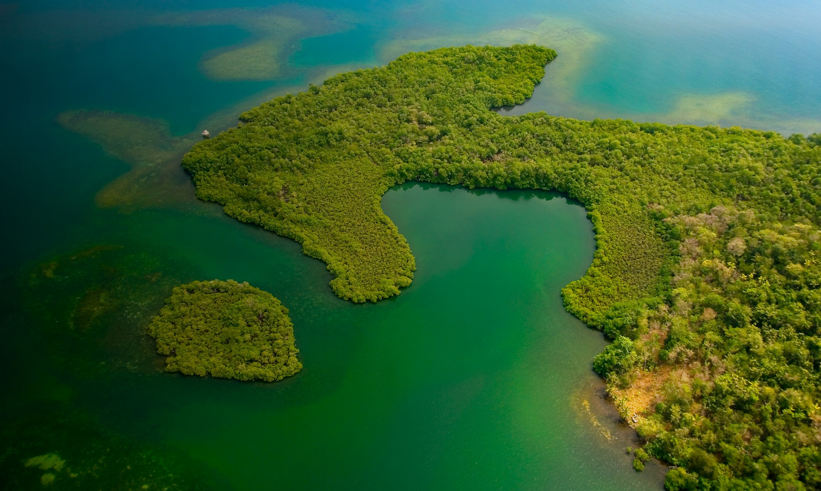 bocas-del-toro-smithsonian-tropical-research-institute