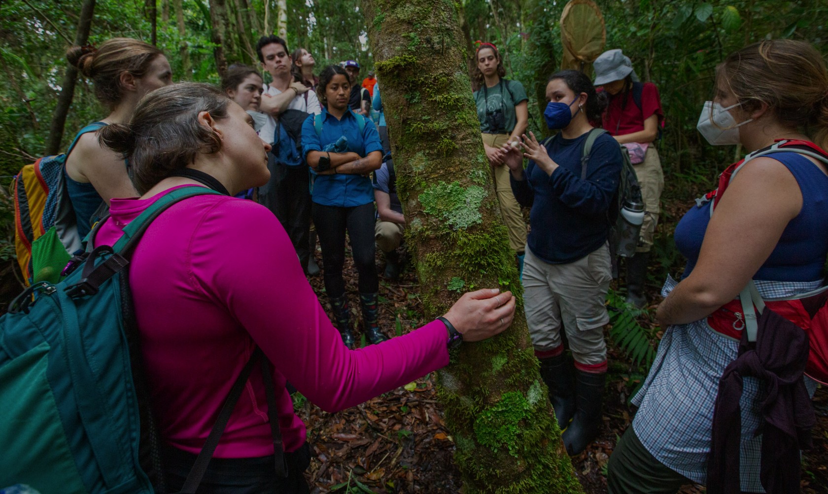 Smithsonian Tropical Research Institute