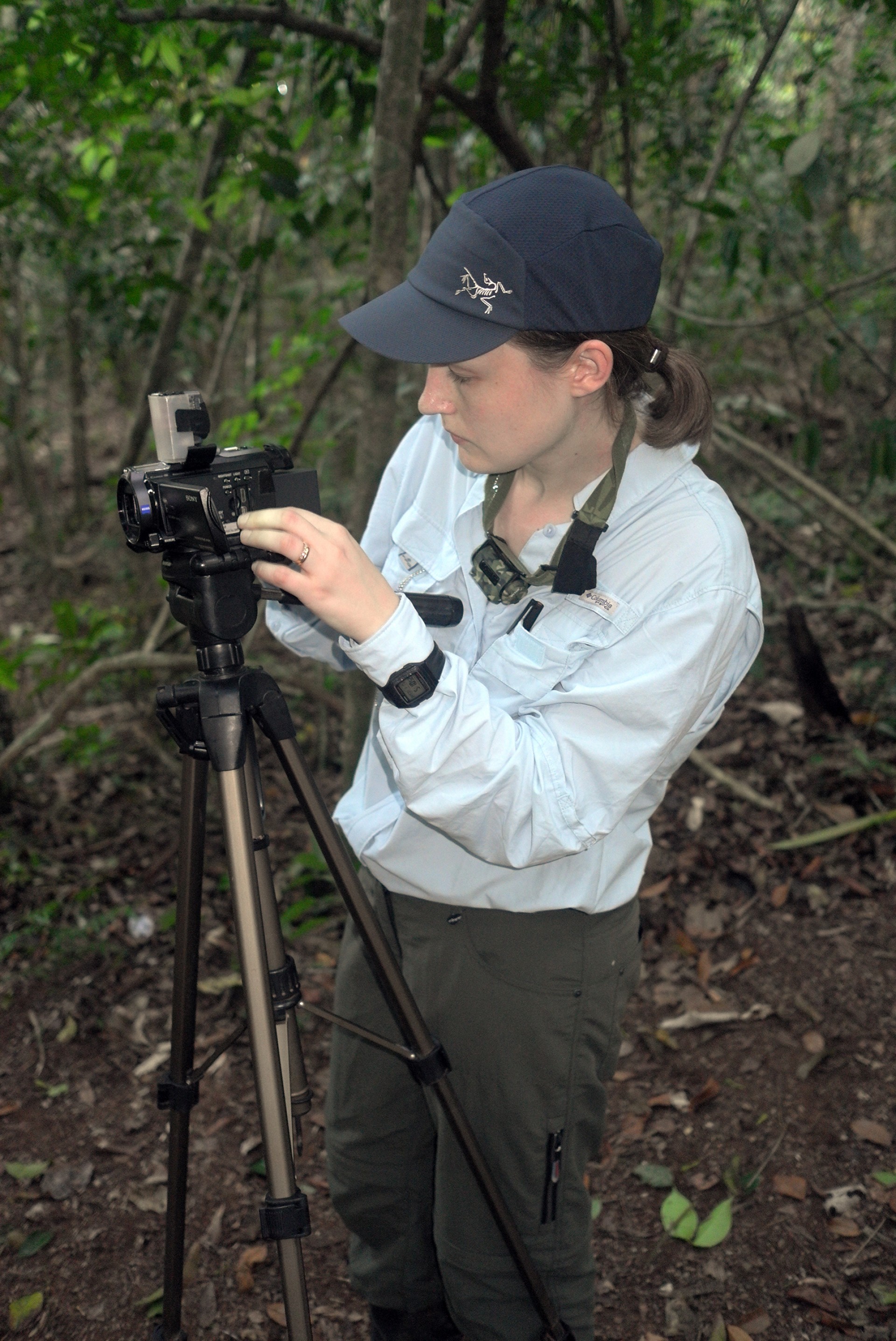 Smithsonian Tropical Research Institute