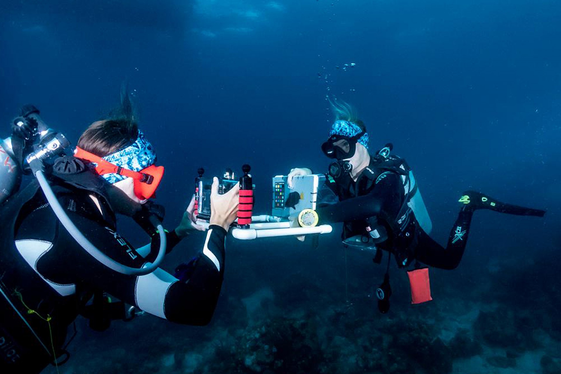 Smithsonian Tropical Research Institute