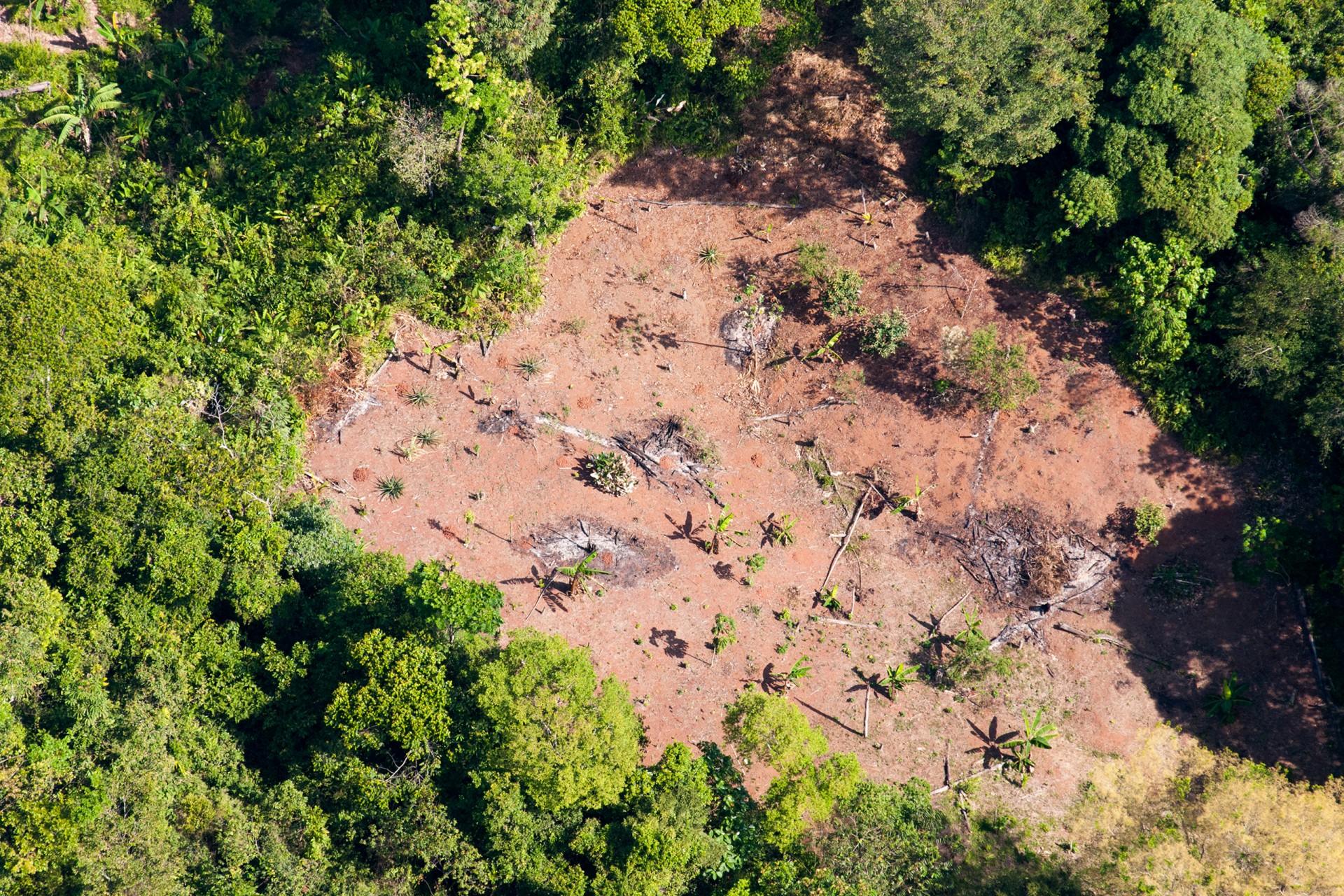 Smithsonian Tropical Research Institute