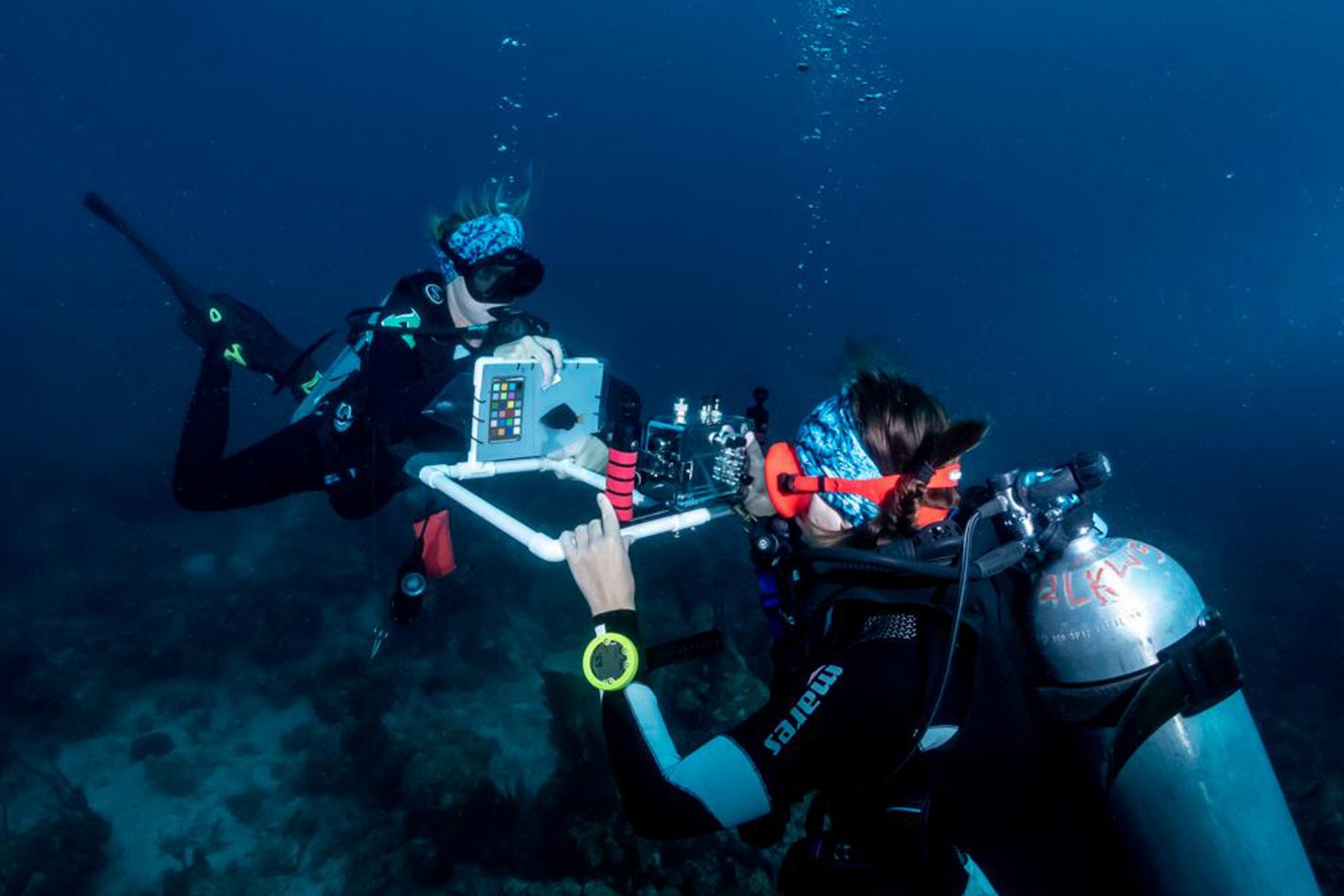 Smithsonian Tropical Research Institute