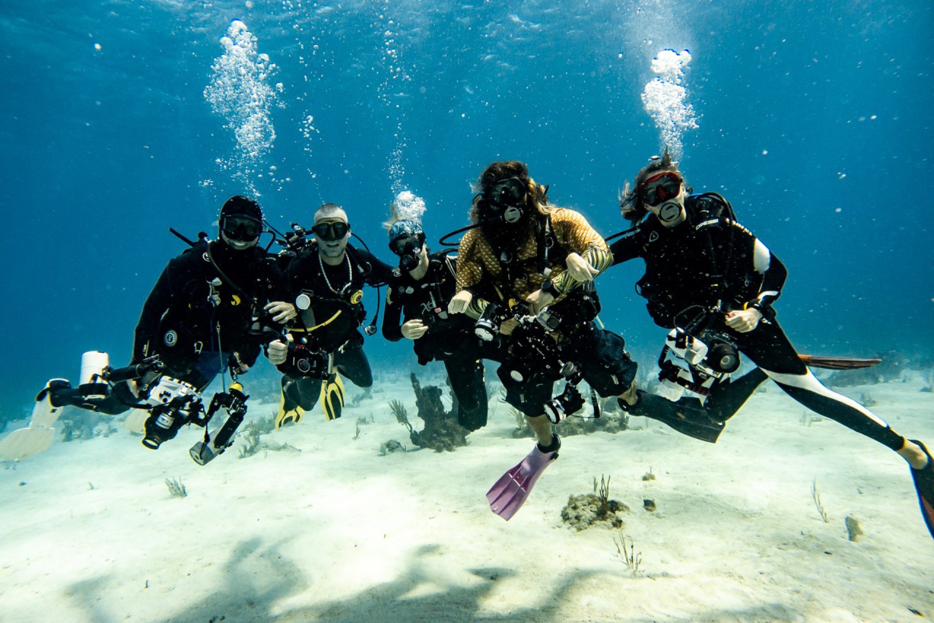Smithsonian Tropical Research Institute