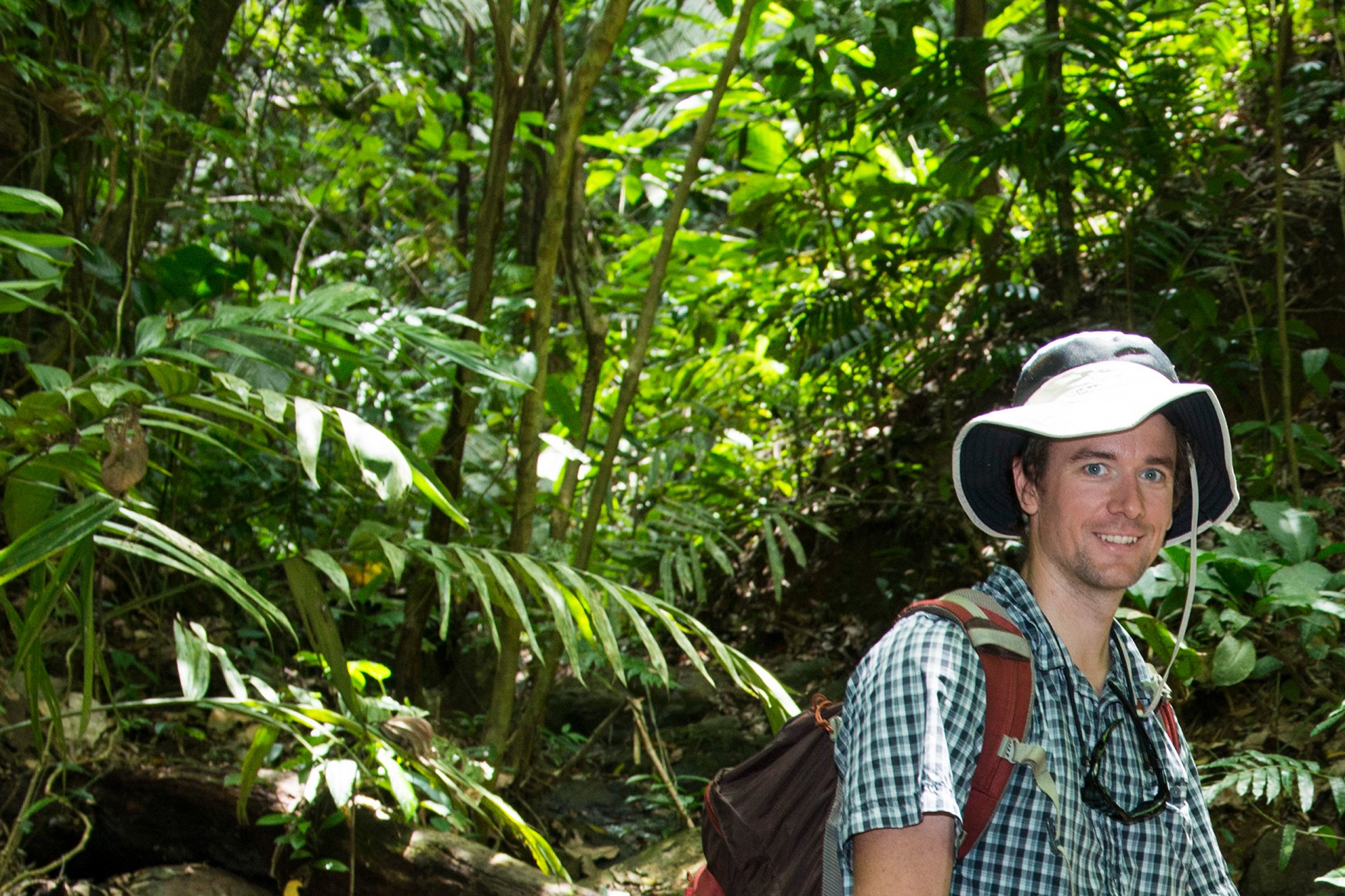 STRILights - Learning from Tropical Nature in 2018