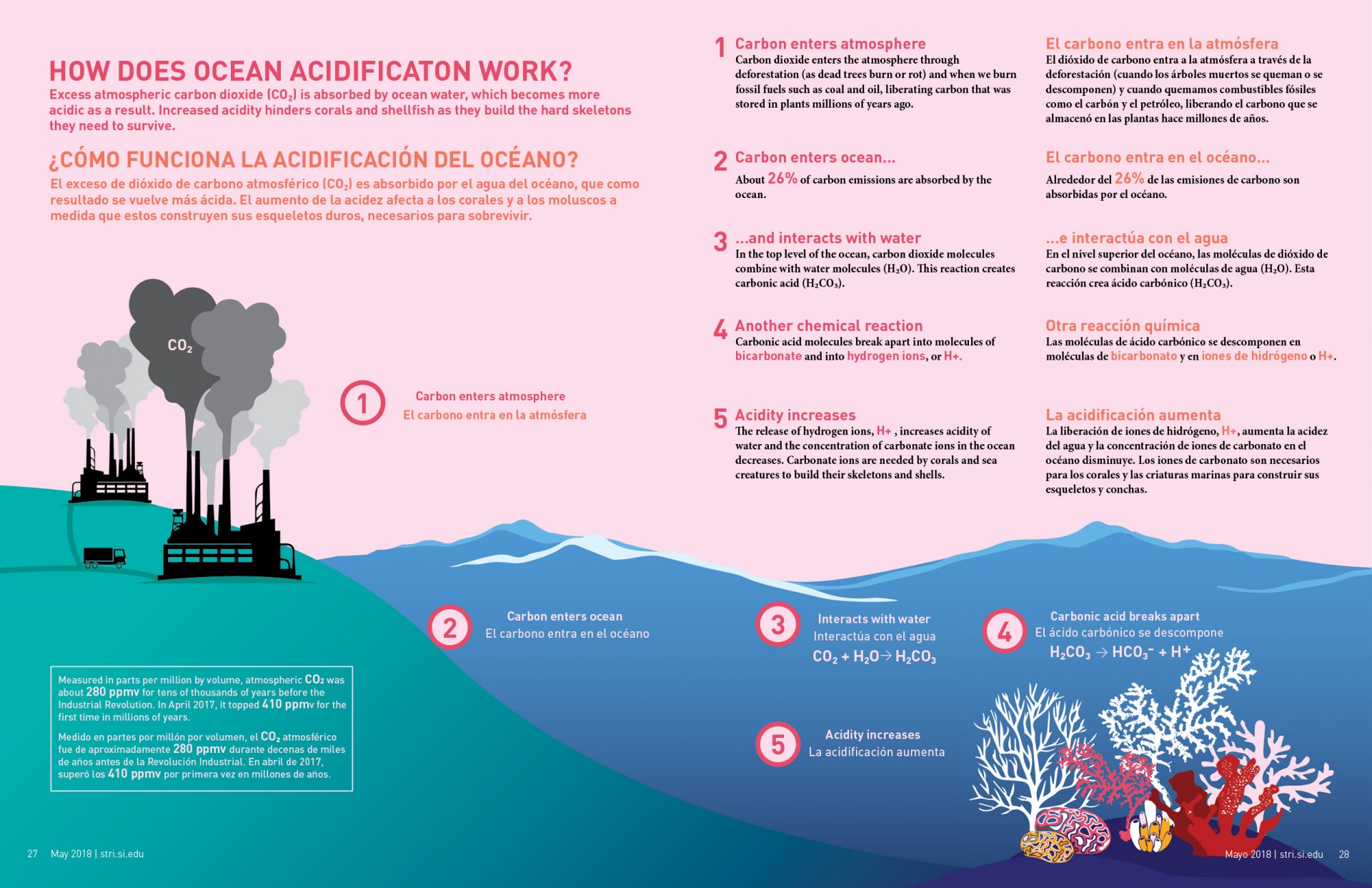 Ocean acidification and reefs Smithsonian Tropical Research Institute