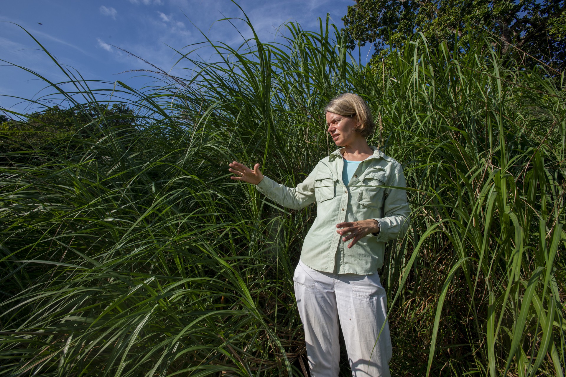 Smithsonian Tropical Research Institute
