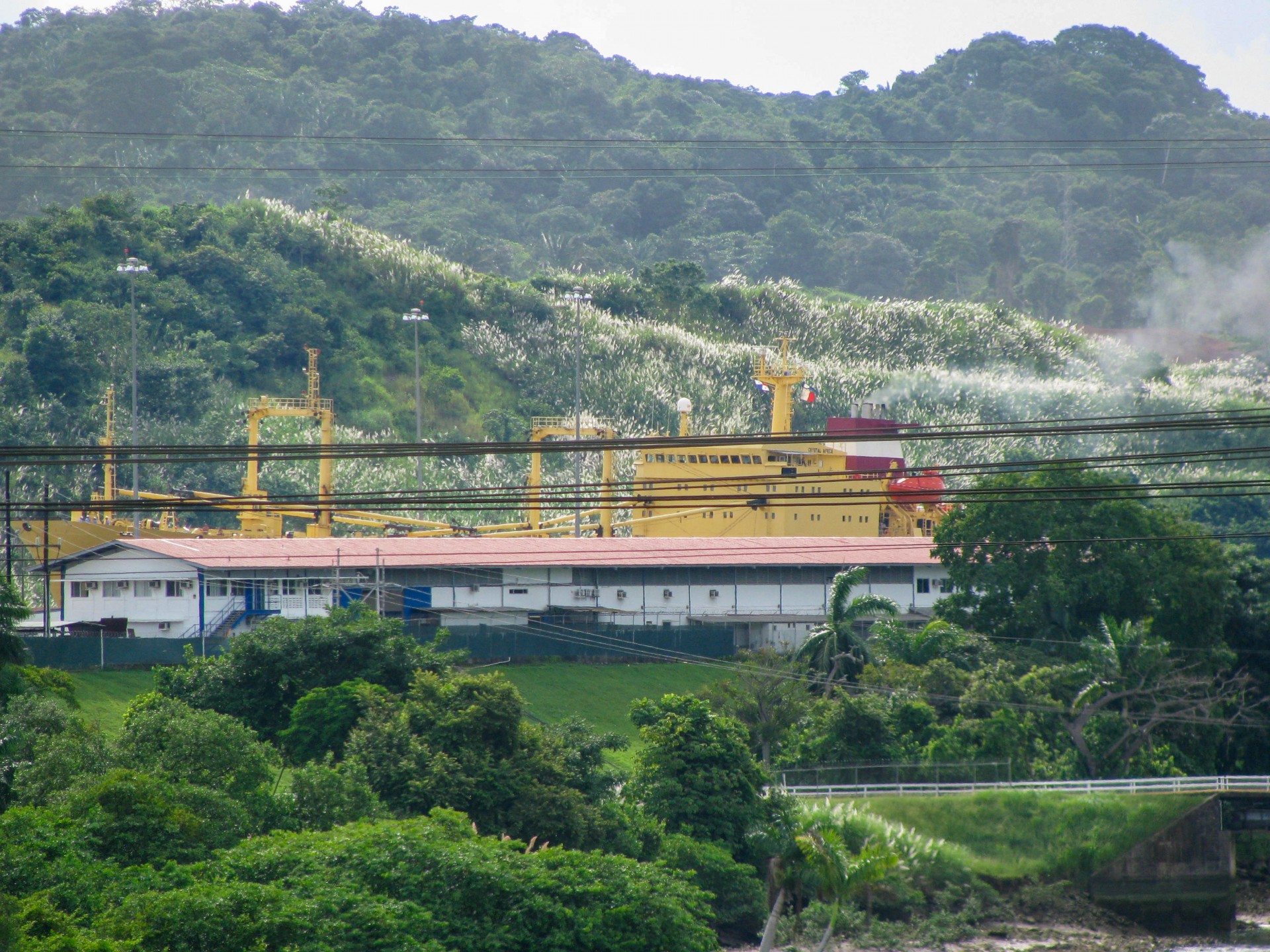 Smithsonian Tropical Research Institute