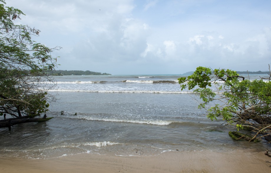 Special Events August 2022 Smithsonian Tropical Research Institute