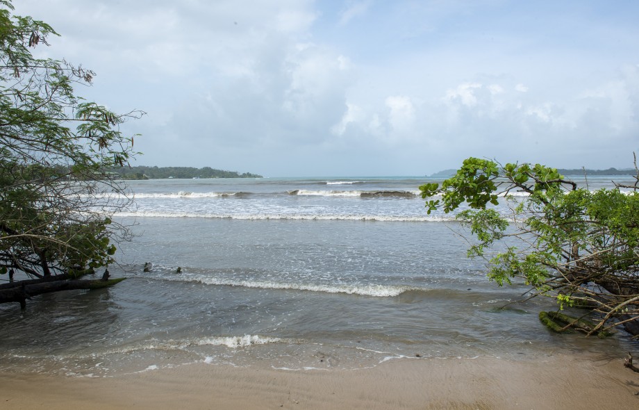 Special Events August 2022  Smithsonian Tropical Research Institute