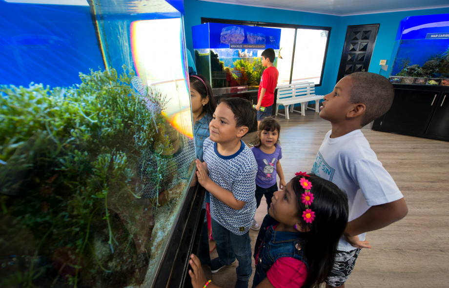 Education and Outreach Punta Culebra