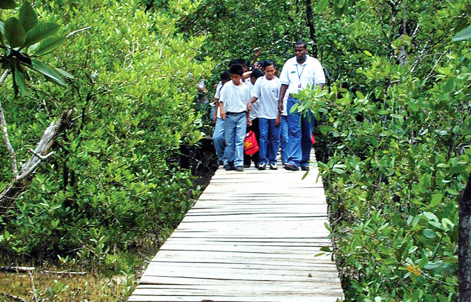 Education and Outreach Punta Galeta