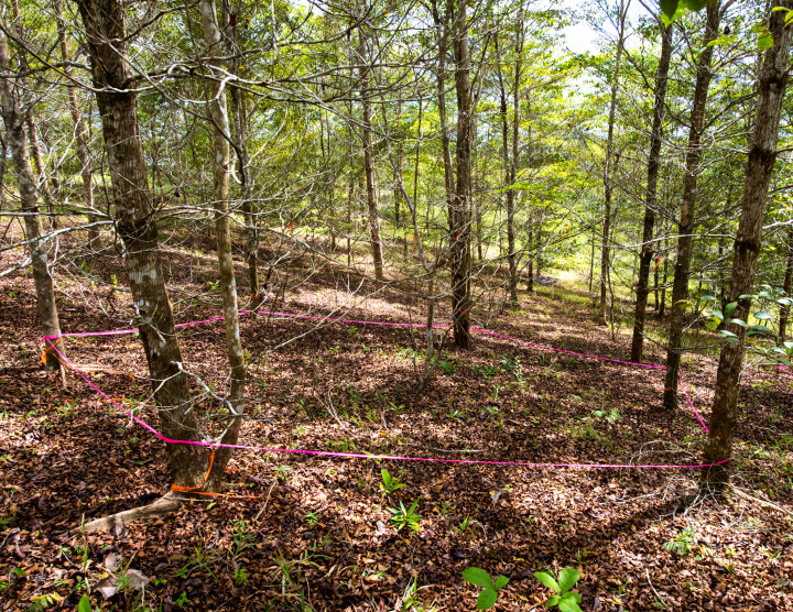 Experimental catchments