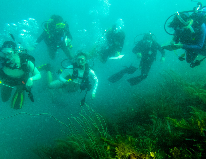 Scientific Diving Program