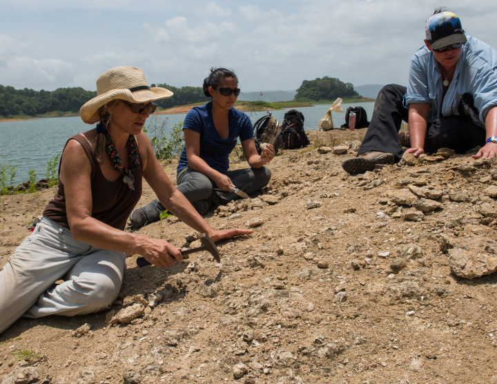 Smithsonian Tropical Research Institute (STRI)