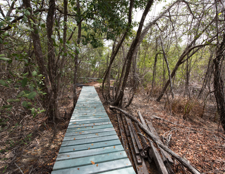 Nature trails and Education facilities