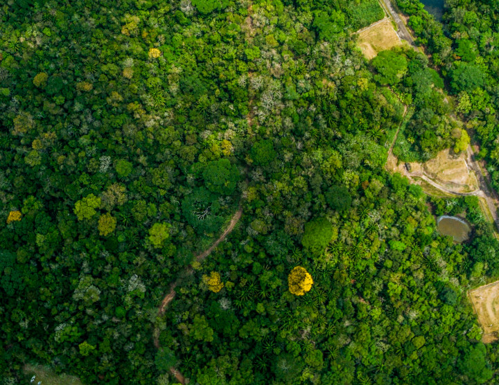 Soberanía National Park and Pipeline Road