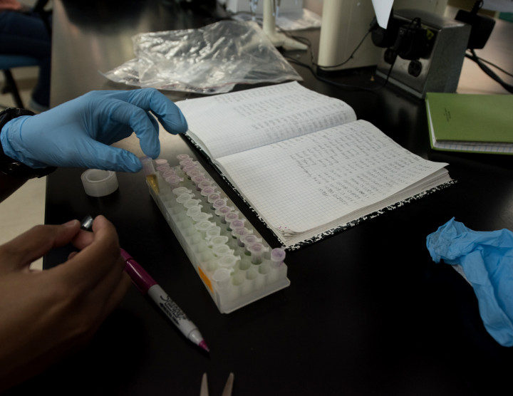Naos Molecular Lab Naos Molecular Lab