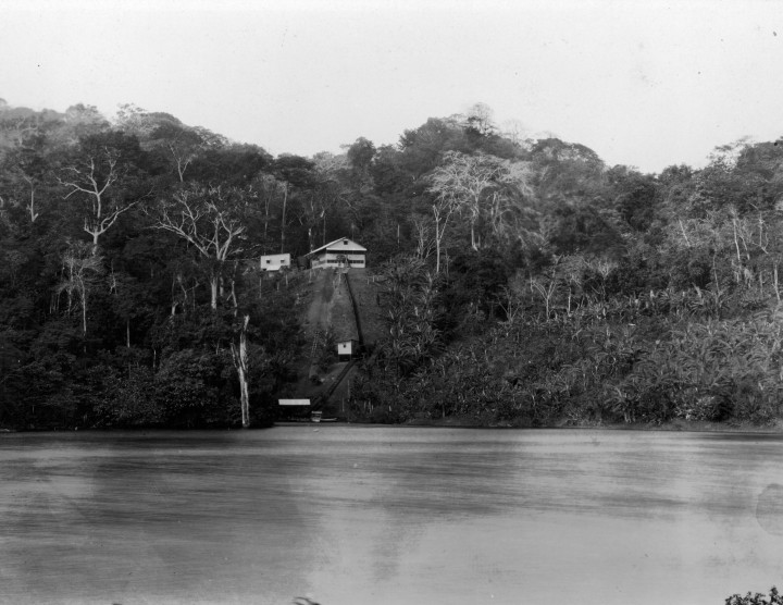 Established in 1923, STRI’s first field station stood in a small clearing on Barro Colorado Island