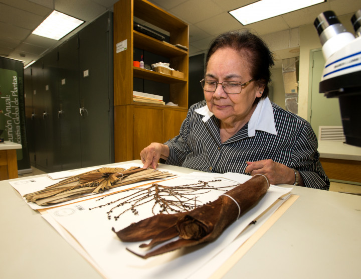 Herbarium Herbarium