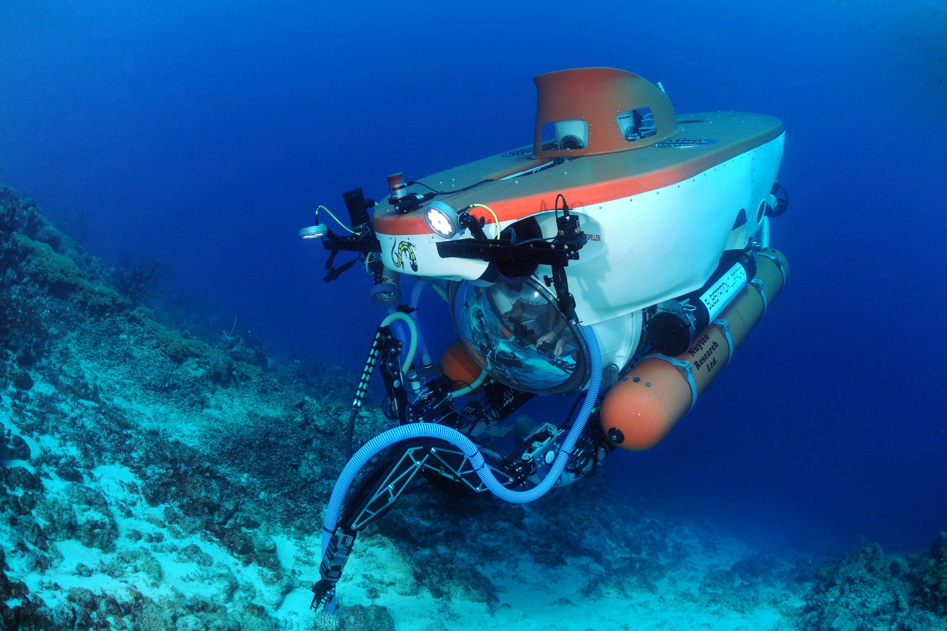 Smithsonian Tropical Research Institute