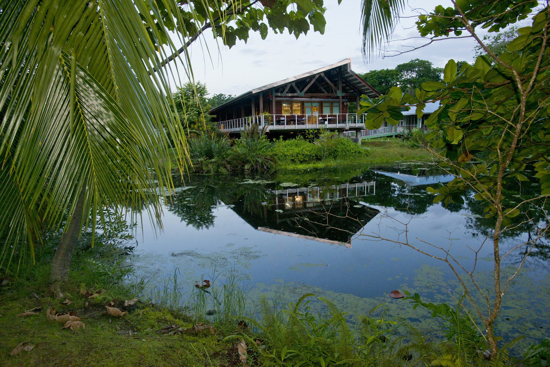 Smithsonian Tropical Research Institute