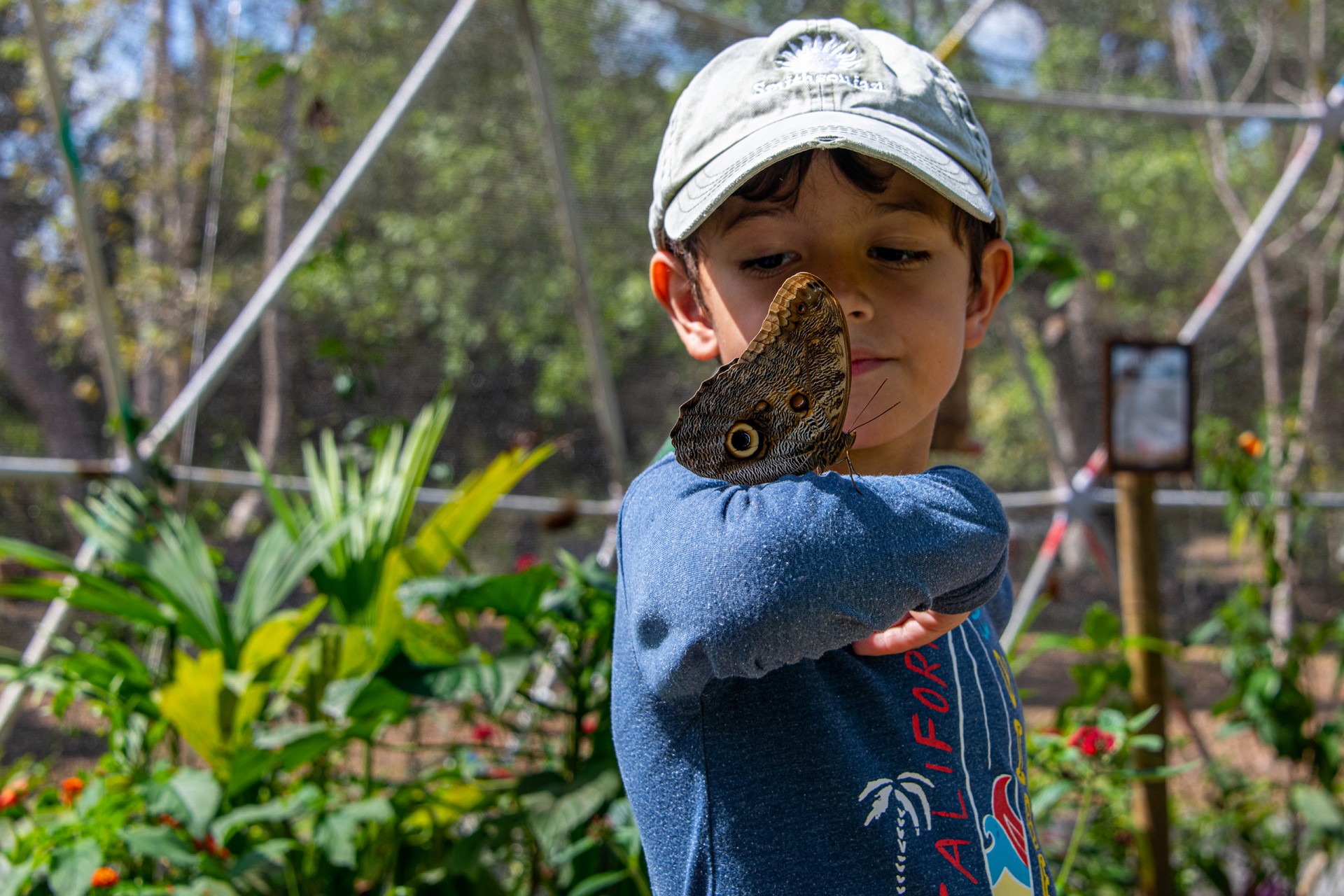 Smithsonian Tropical Research Institute