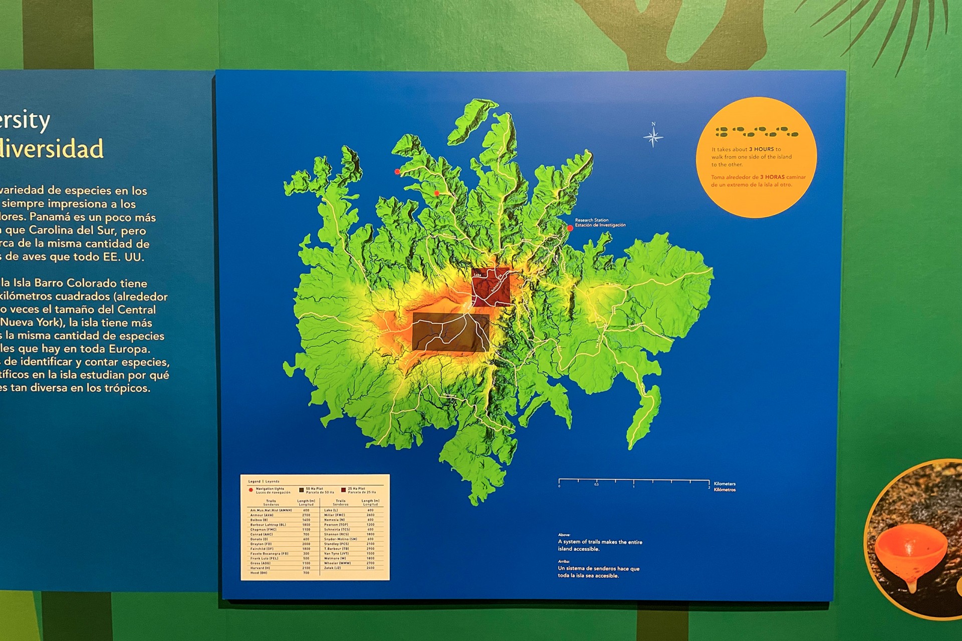 Smithsonian Tropical Research Institute