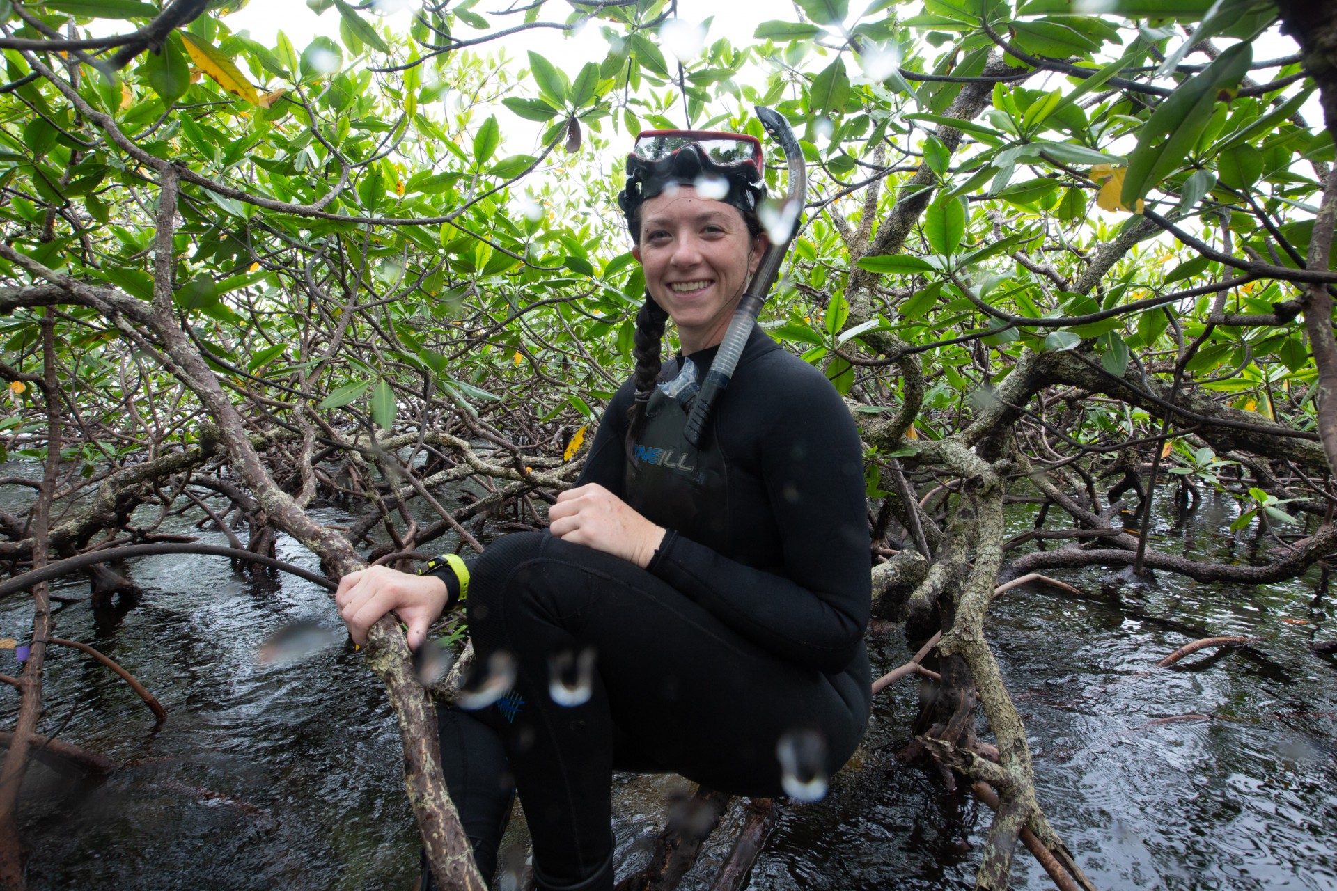 Smithsonian Tropical Research Institute