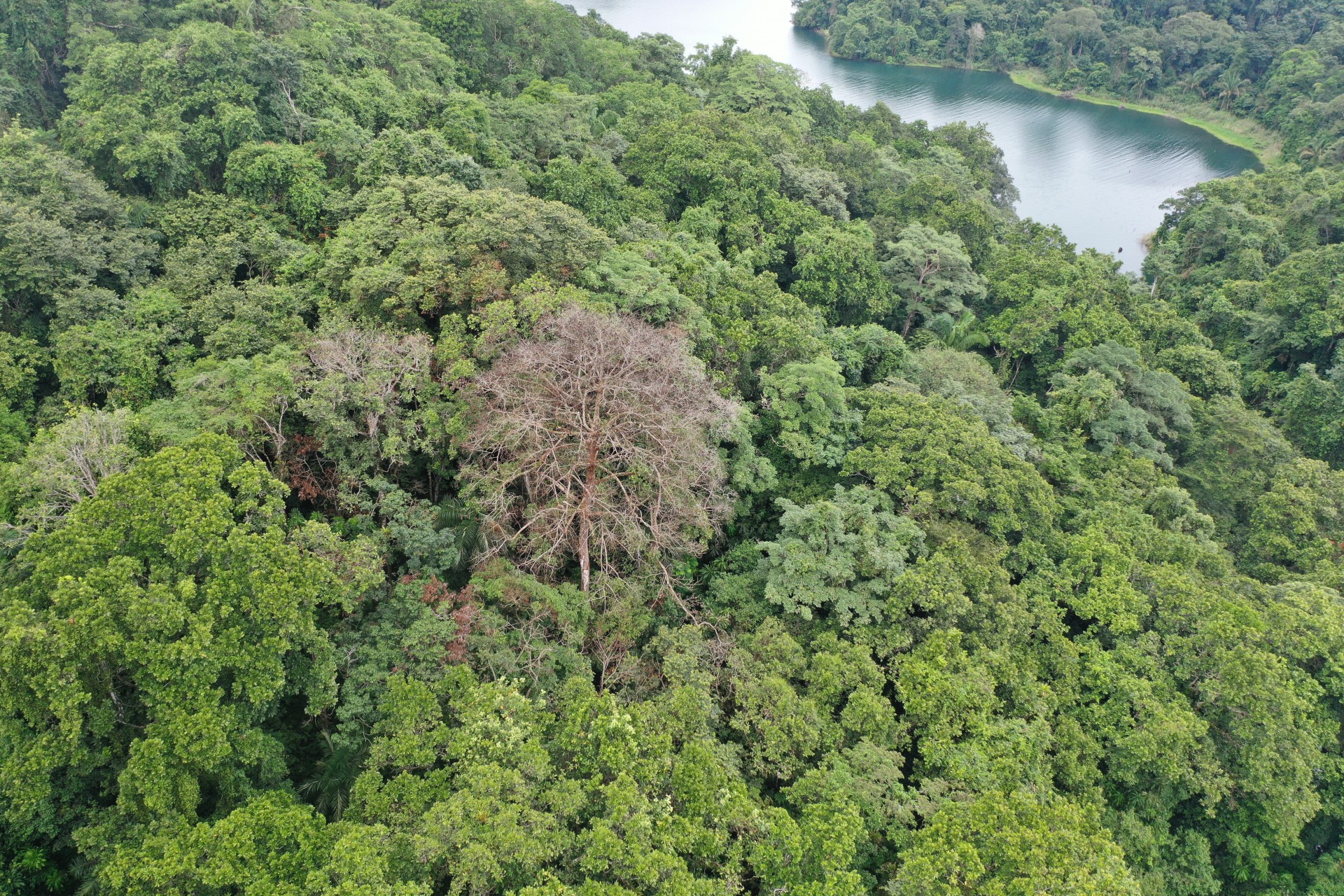 Smithsonian Tropical Research Institute