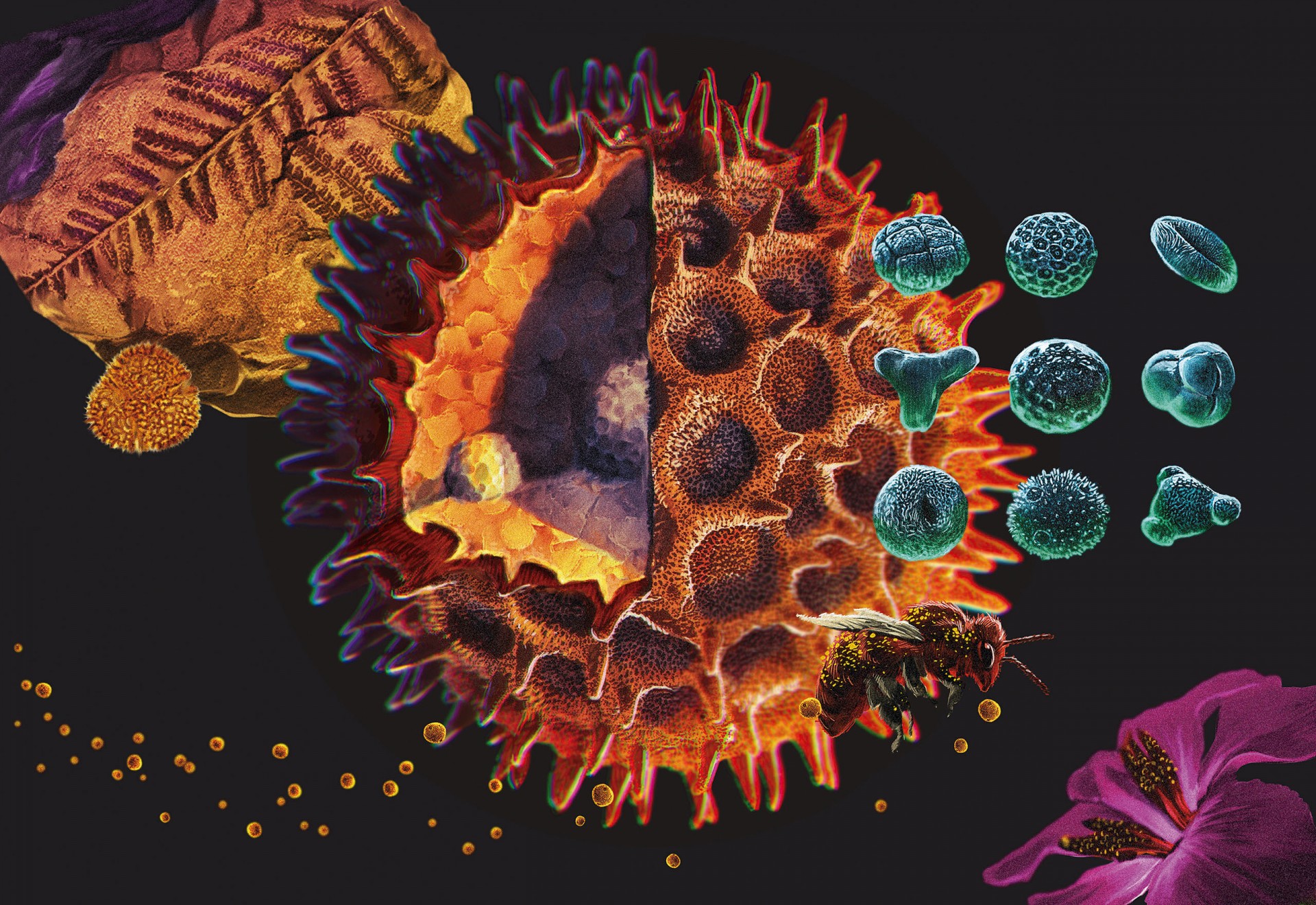 Smithsonian Tropical Research Institute