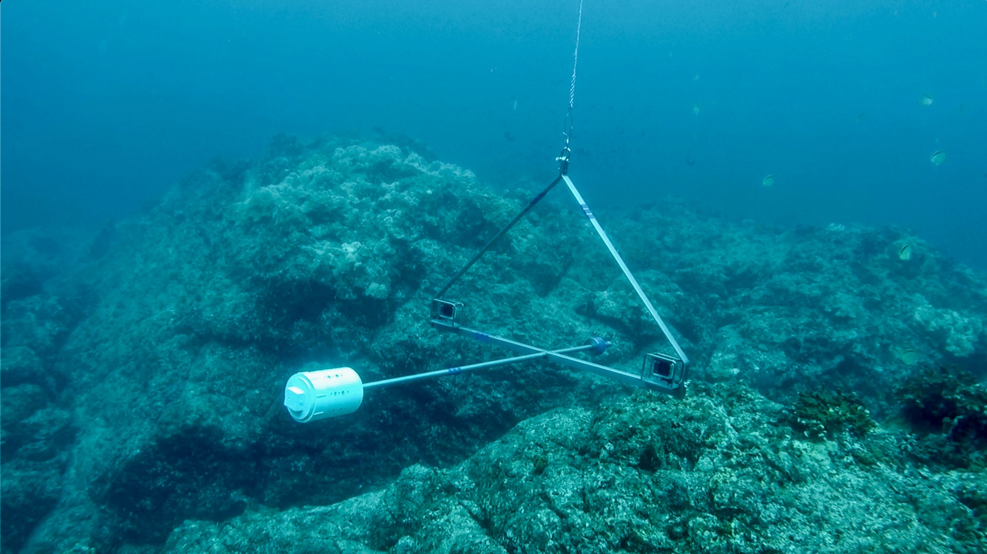 Smithsonian Tropical Research Institute