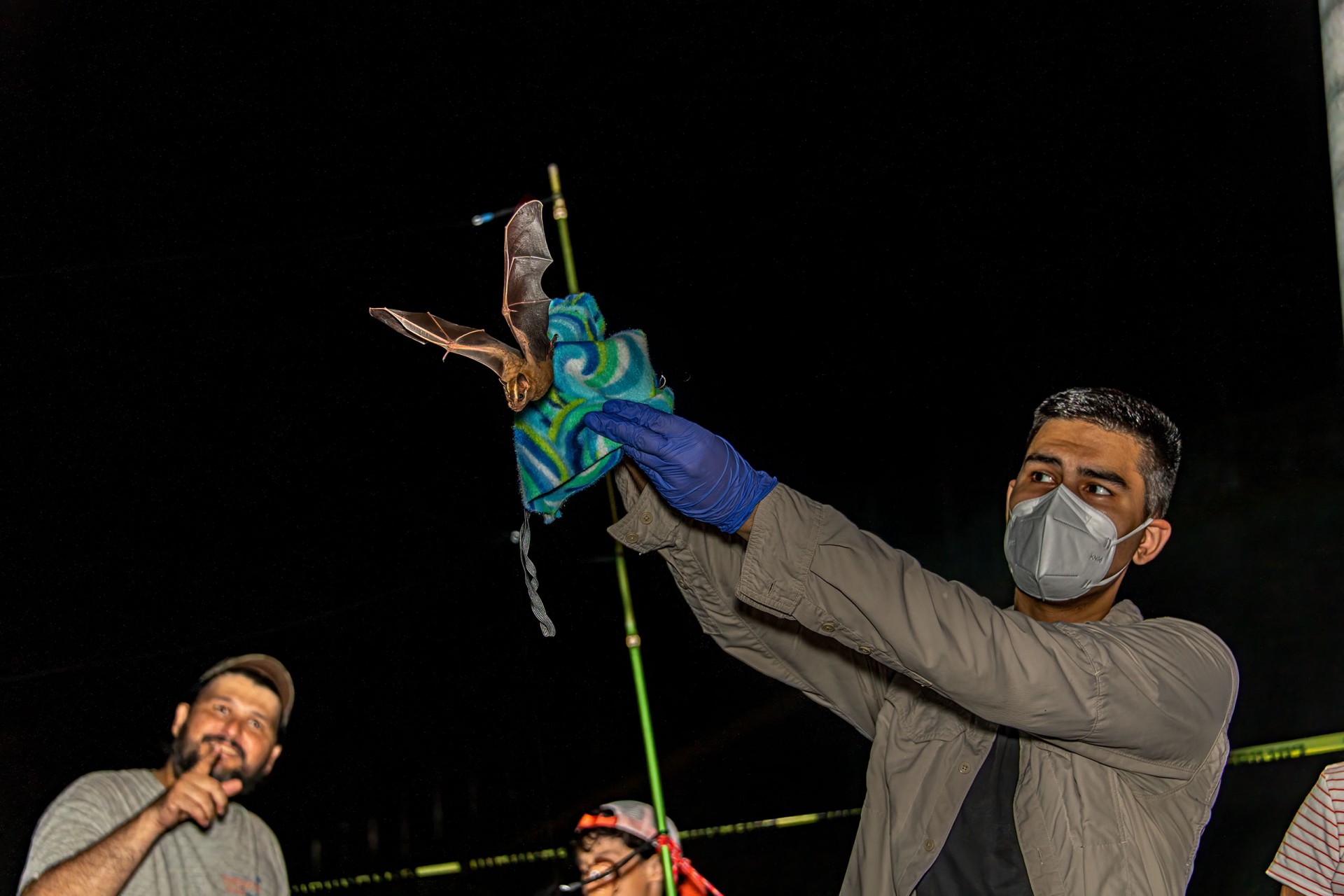 imran razik releasing a bat photo by steve paton
