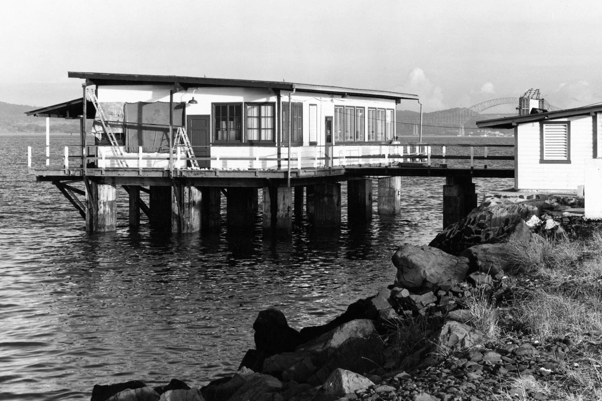 From aquarist to star inventor