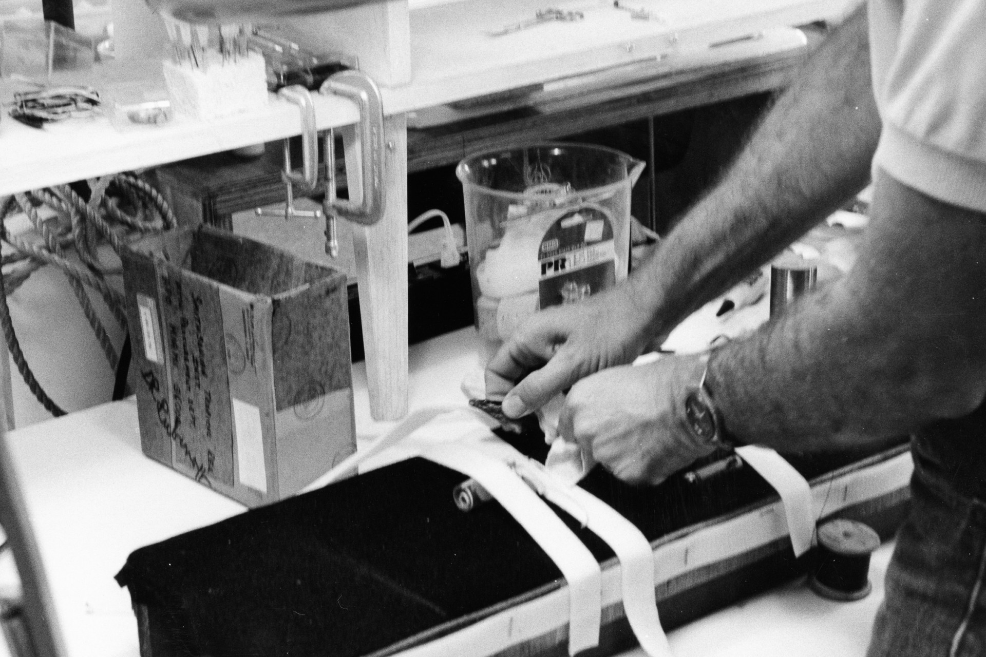 From aquarist to star inventor