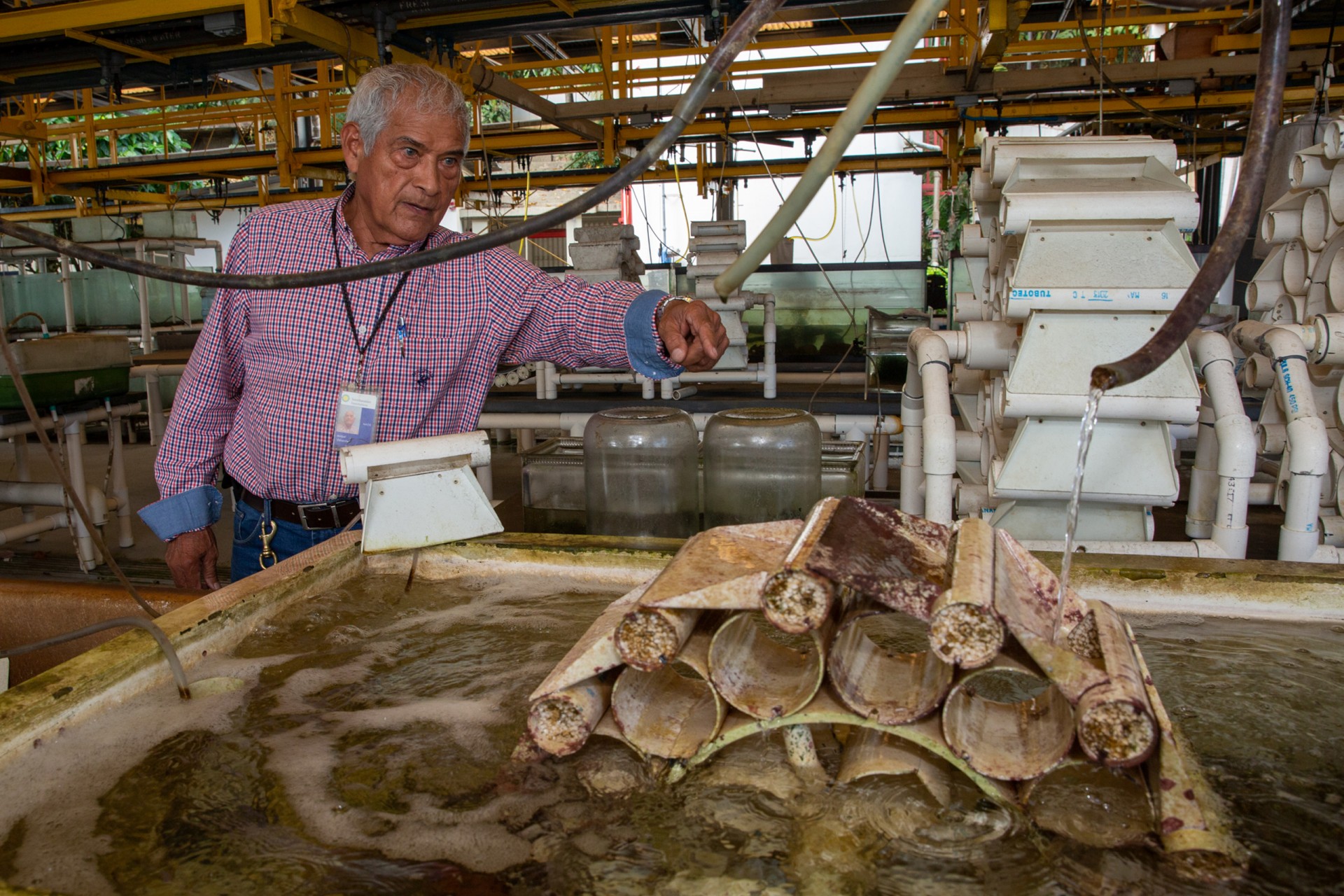 From aquarist to star inventor