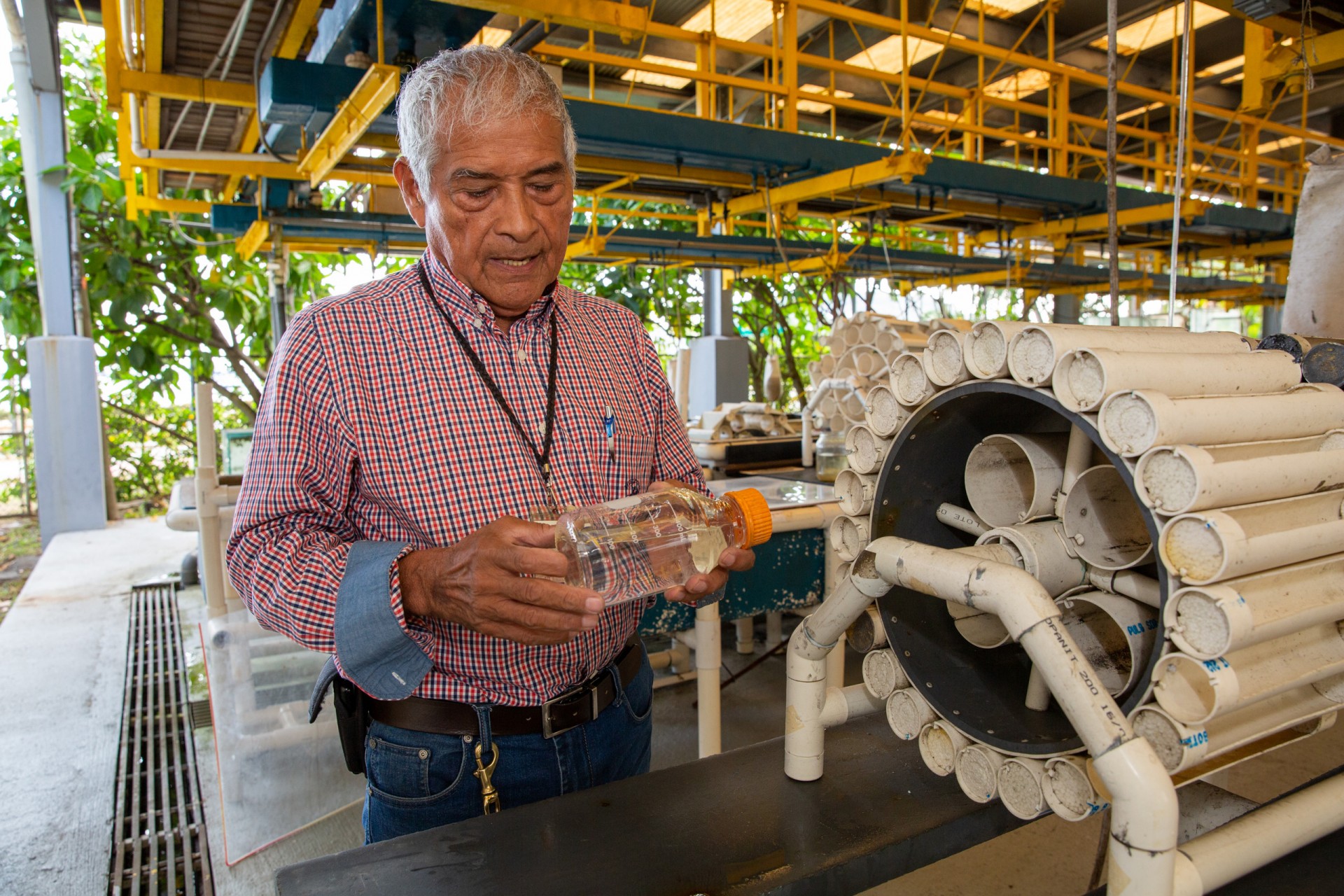 From aquarist to star inventor