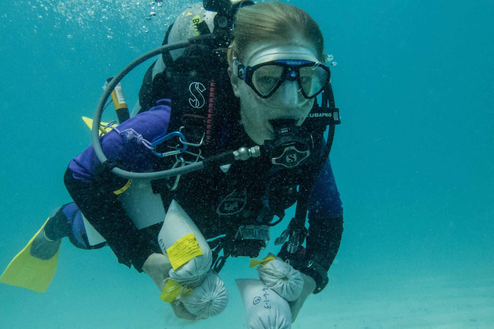 Declining reefs