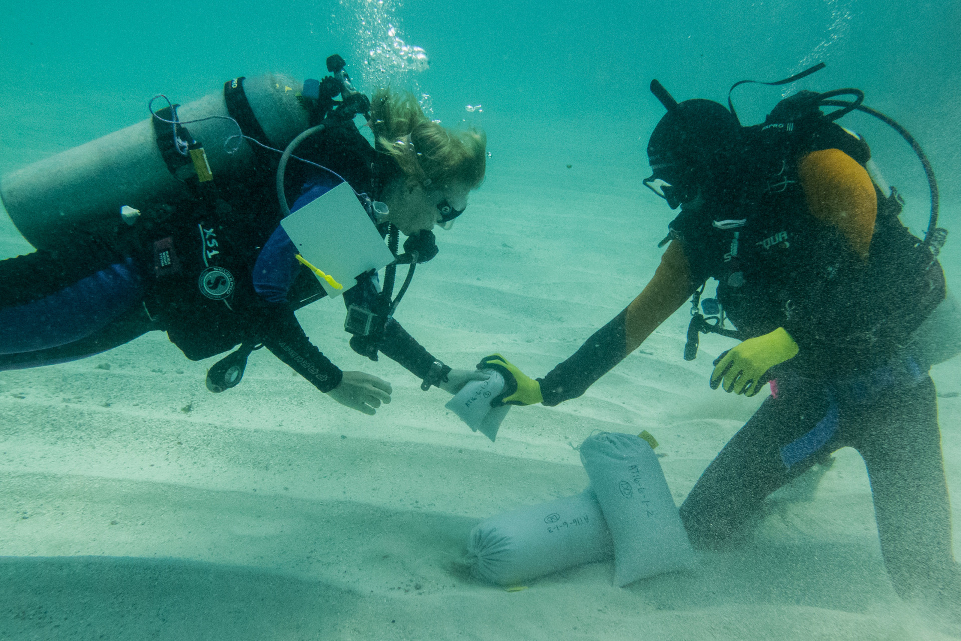 Declining reefs