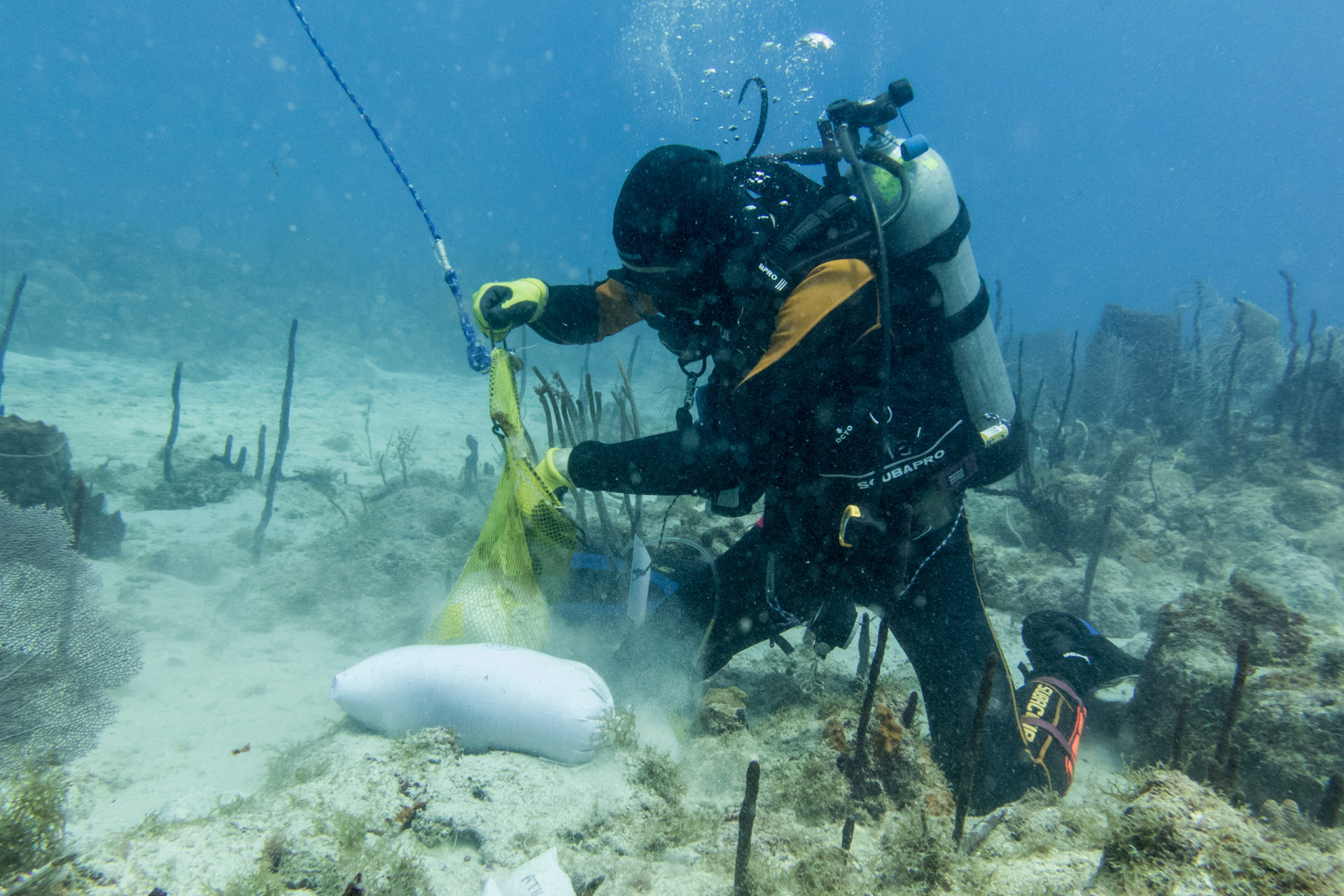 Declining reefs