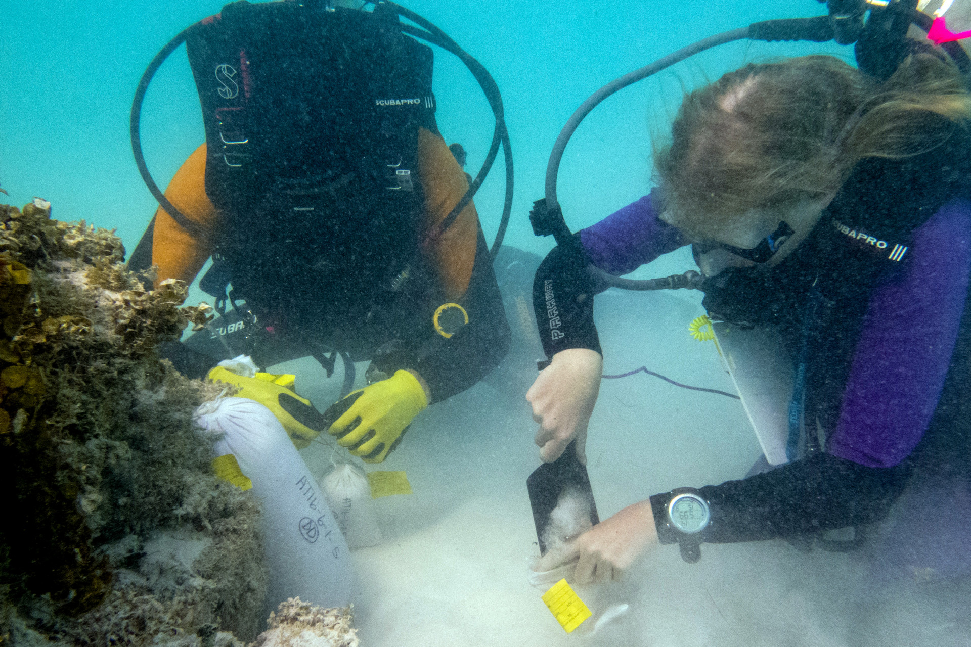 Declining reefs