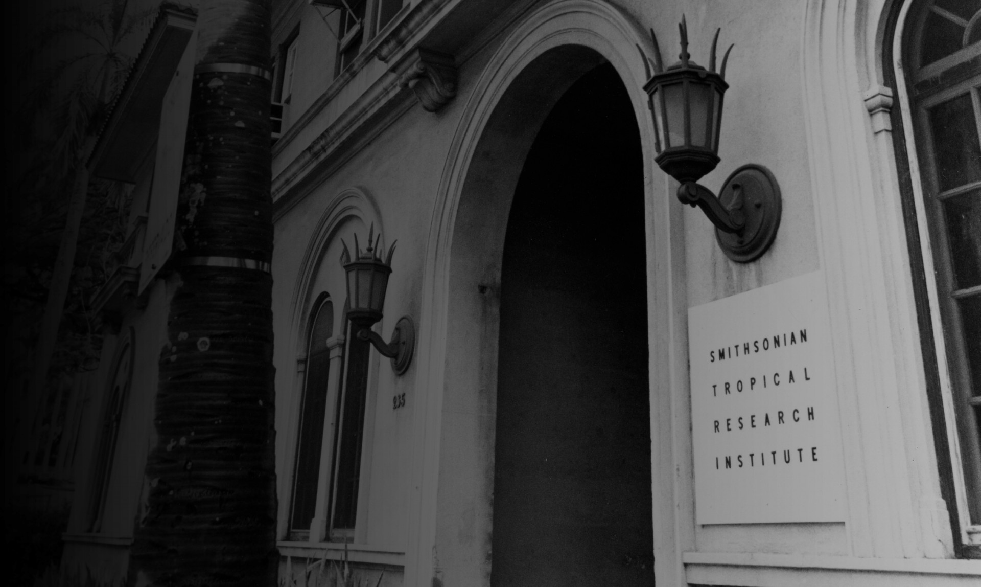 Island Naturalist Martin Moynihan urged the Smithsonian to create the Smithsonian Tropical Research Institute Island Naturalist Martin Moynihan urged the Smithsonian to create the Smithsonian Tropical Research Institute