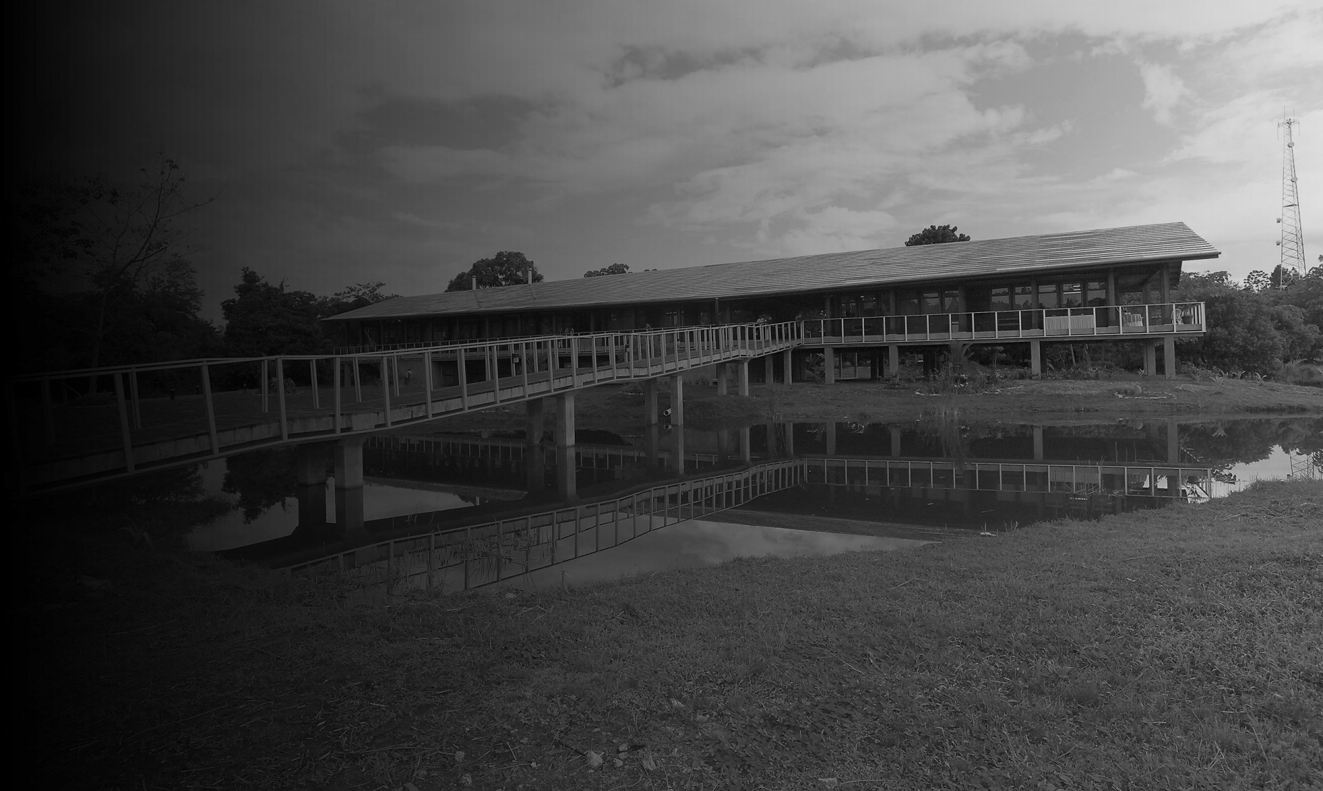 Some of Bocas Del Toro’s earliest Smithsonian surveys began in the 1970s