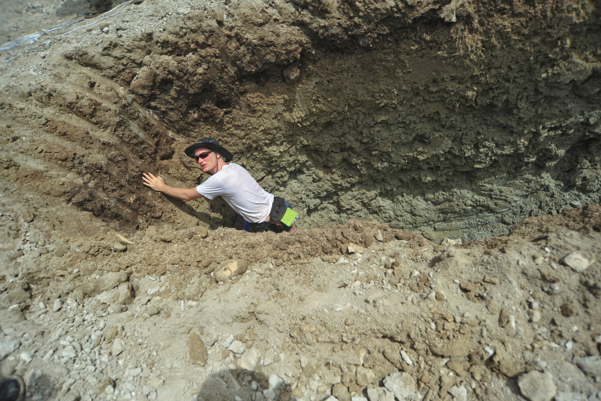 Four trenches were dug  to expose the autochthonous and in-life position fossil reef for bulk sampling