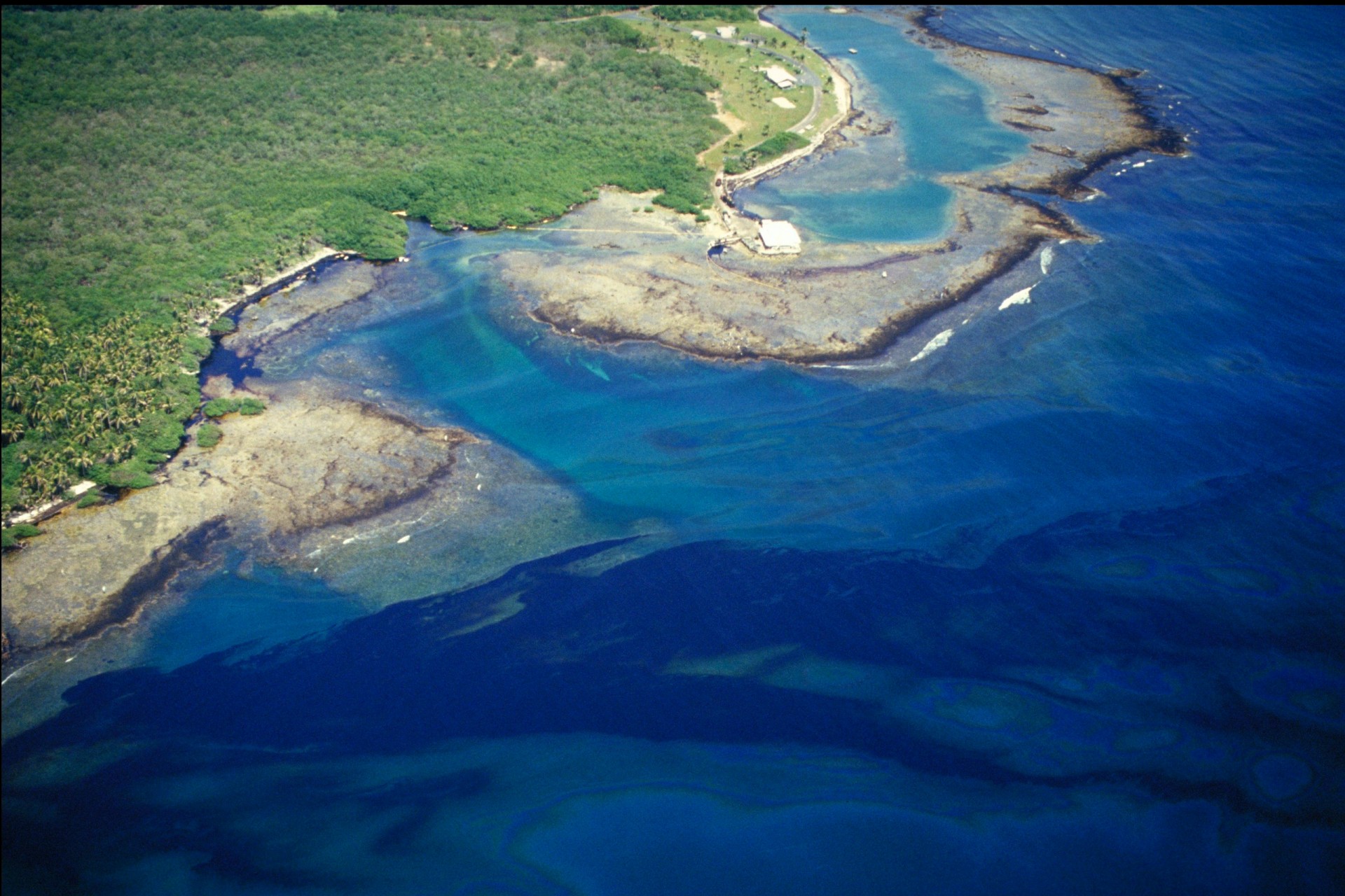 Smithsonian Tropical Research Institute